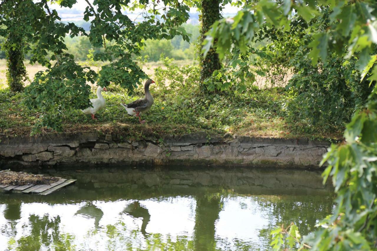 Chateau De La Frogerie Maulévrier Dış mekan fotoğraf